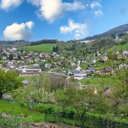 Maison Coquette A Avec Jardin * Fréland