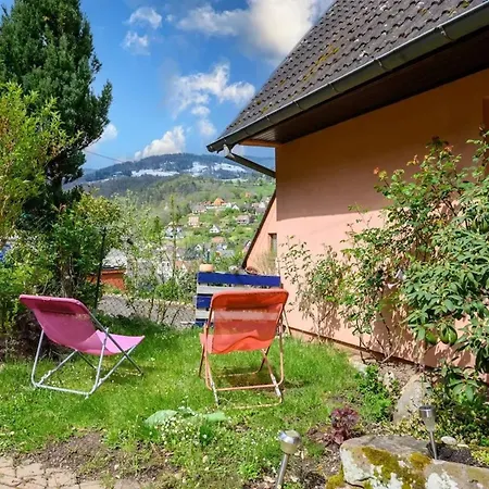 Maison Coquette A Avec Jardin * Fréland